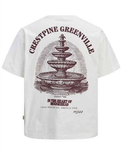 Jack & Jones - JORMaine Back Crew T-Shirt - Cloud Dancer 